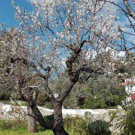 Villino S.gerard * Monopoli