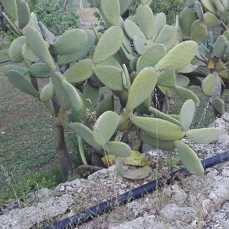 Country house Villino S.gerard *