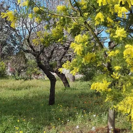 Villino S.gerard Monopoli